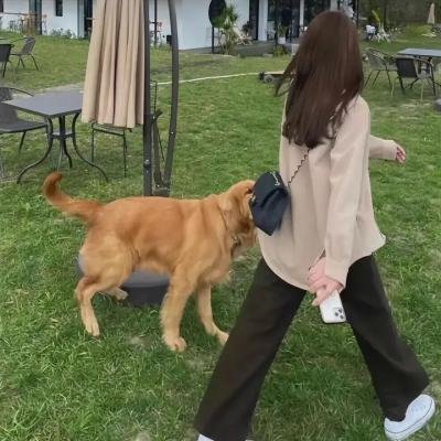 摩斯探长第六季